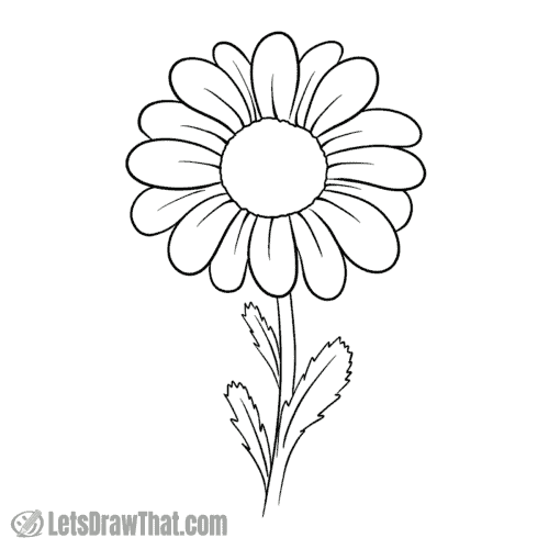 How to draw a daisy: finished outline drawing
