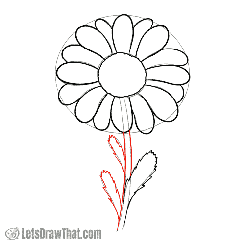 Drawing step: Draw the stem and the remaining leaves
