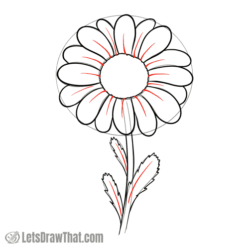 Drawing step: Add final details
