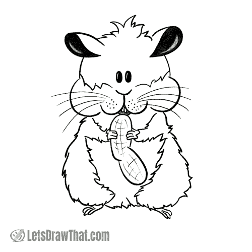 How to draw a hamster: finished outline drawing