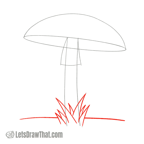 Drawing step: Draw the grass and the ground
