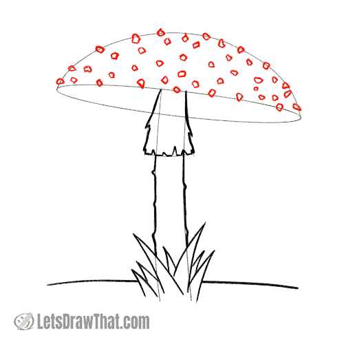 Drawing step: Draw the white spots on the cap