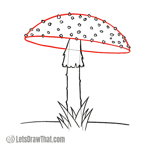 Drawing step: Draw the mushroom cap