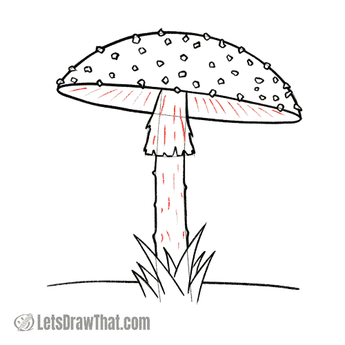 Drawing step: Draw the gills and stem textures