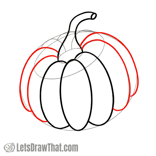 Drawing step: Outline the remaining front ribs