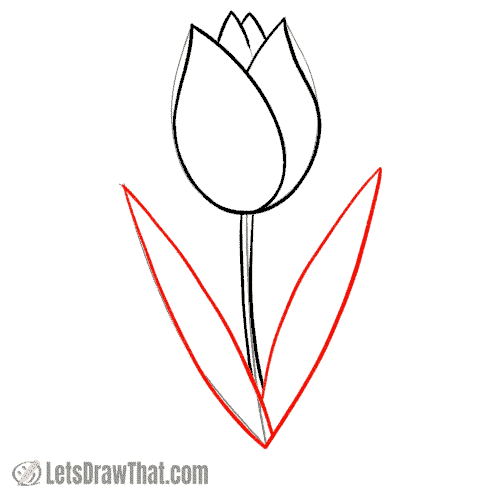 Drawing step: Draw the tulip's leaves