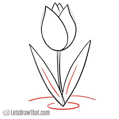 Drawing step: Add final details to the tulip
