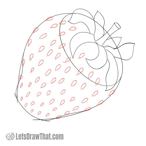 Drawing step: Draw the seeds on the strawberry