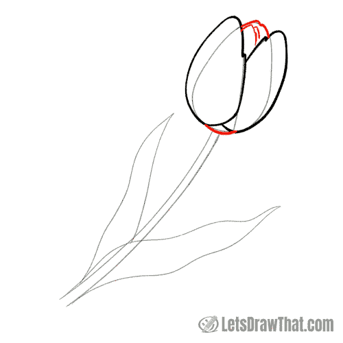 Drawing step: Finish drawing the tulip flower