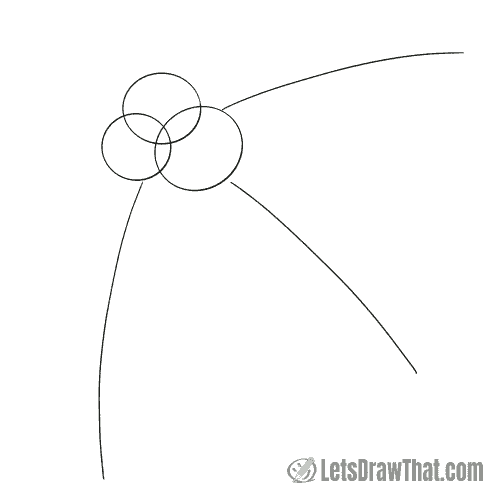 Drawing step: Sketch the berries and leaf midribs