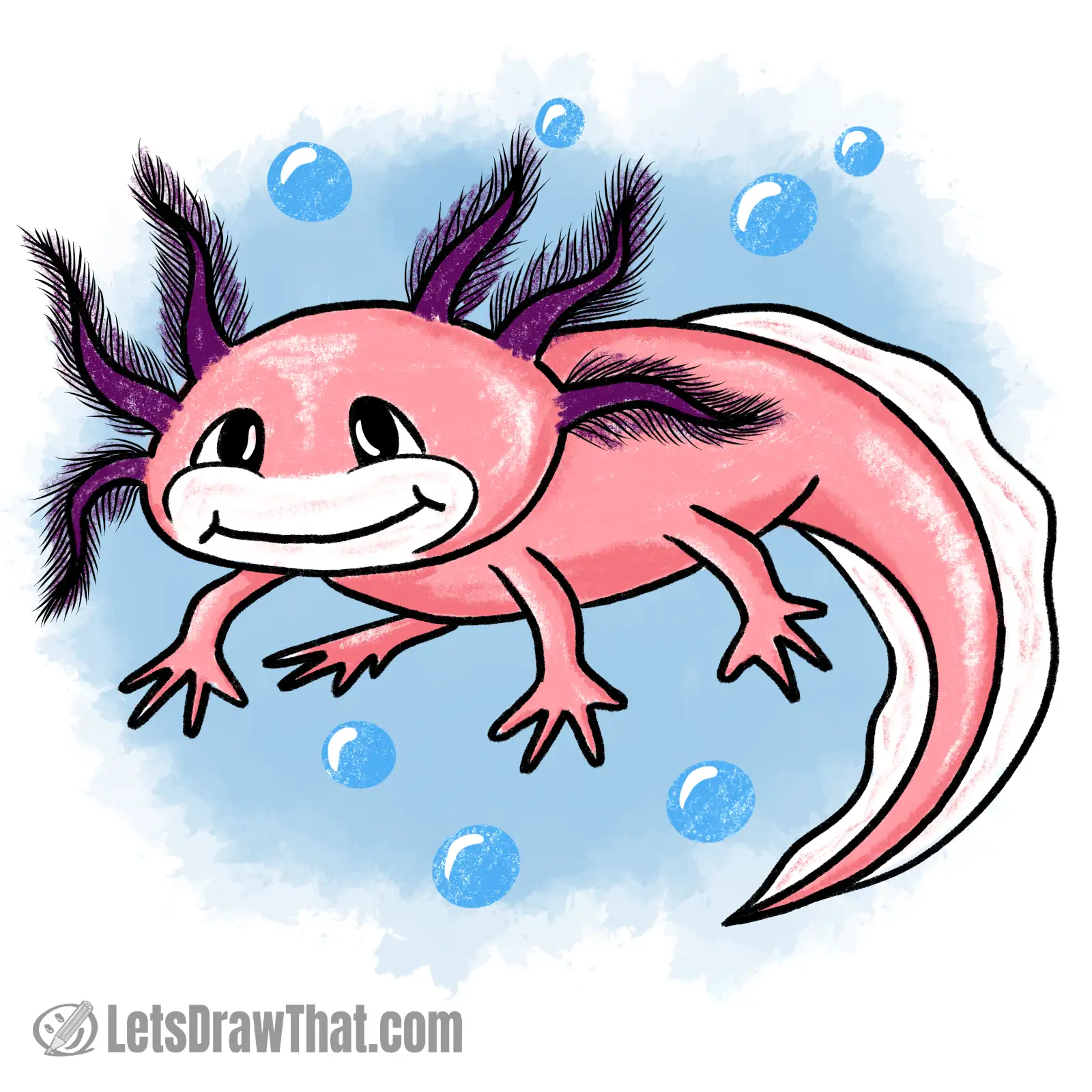 Axolotl drawing colored-in