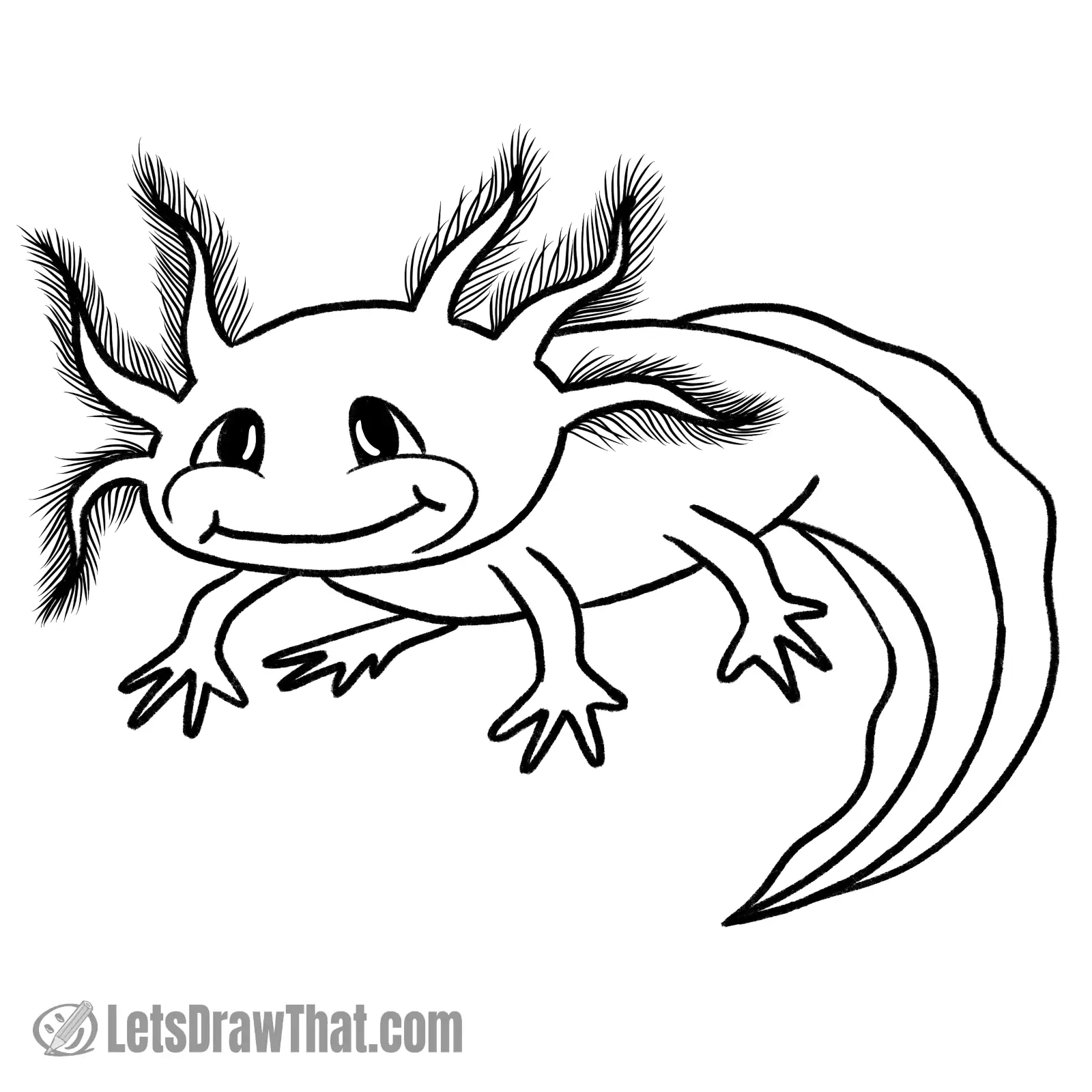 Finished axolotl drawing outline