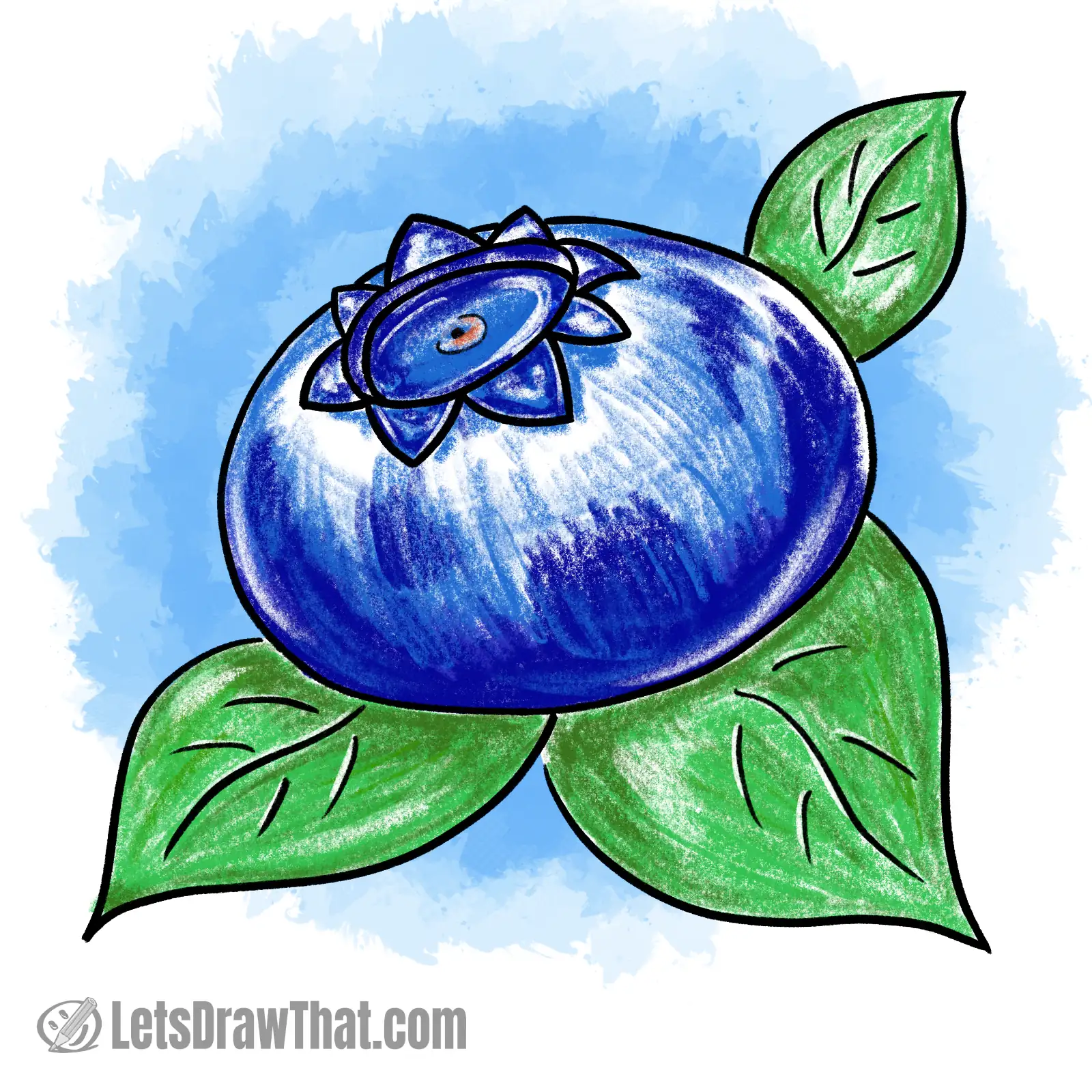 Simple blueberry drawing coloured-in