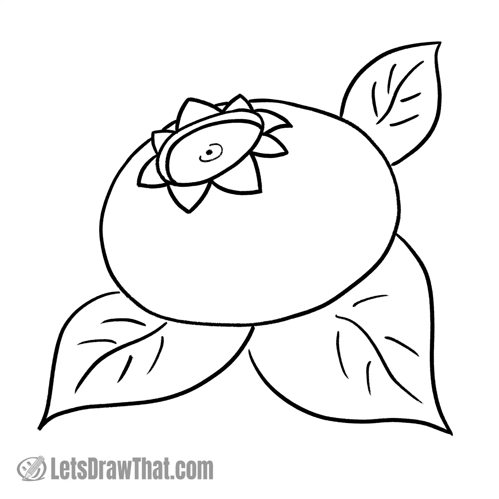 Easier blueberry drawing variation