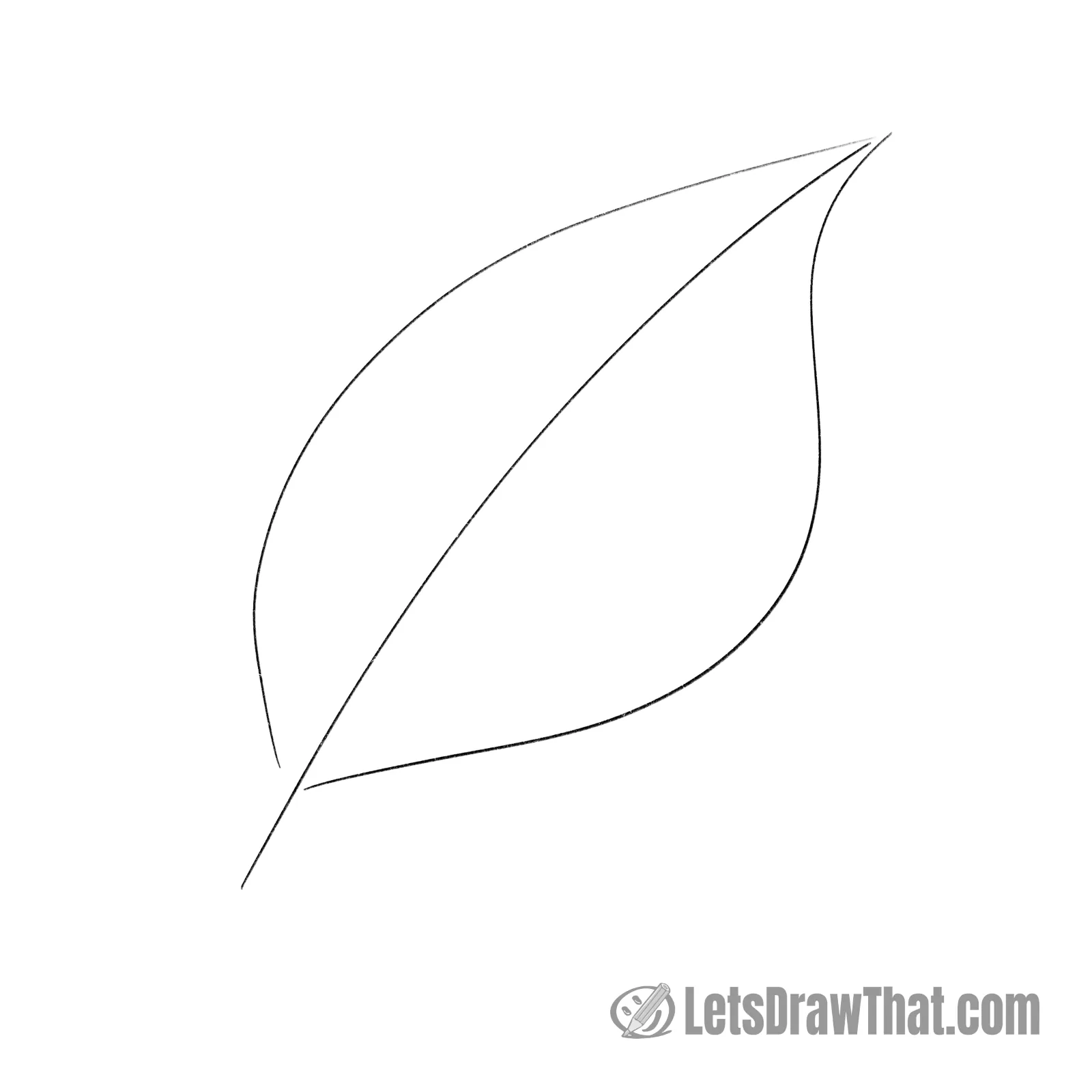 Drawing step: Sketch the simple leaf outline