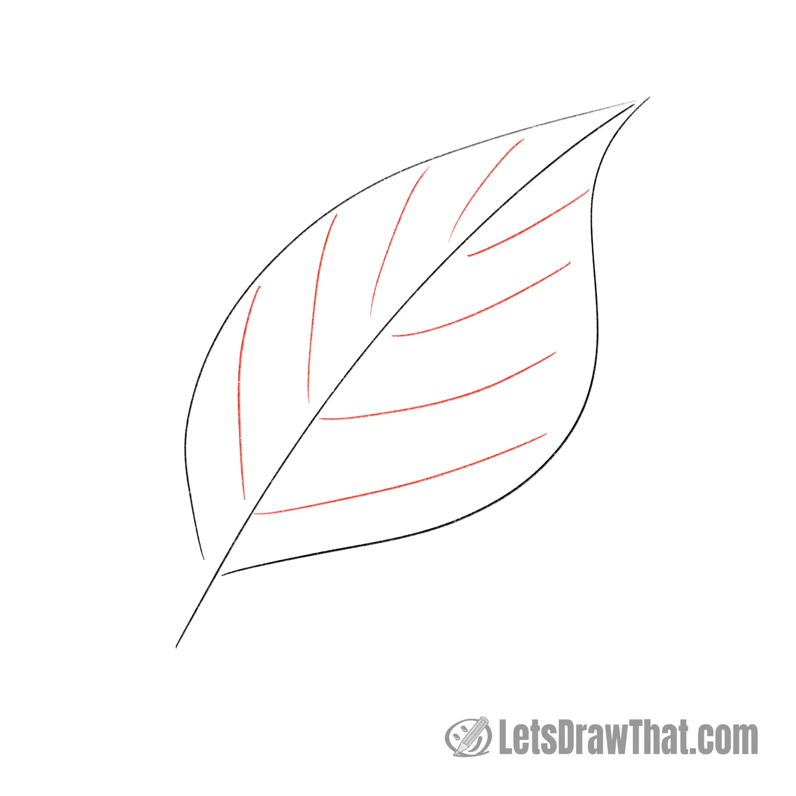 Drawing step: Add the leaf ribs
