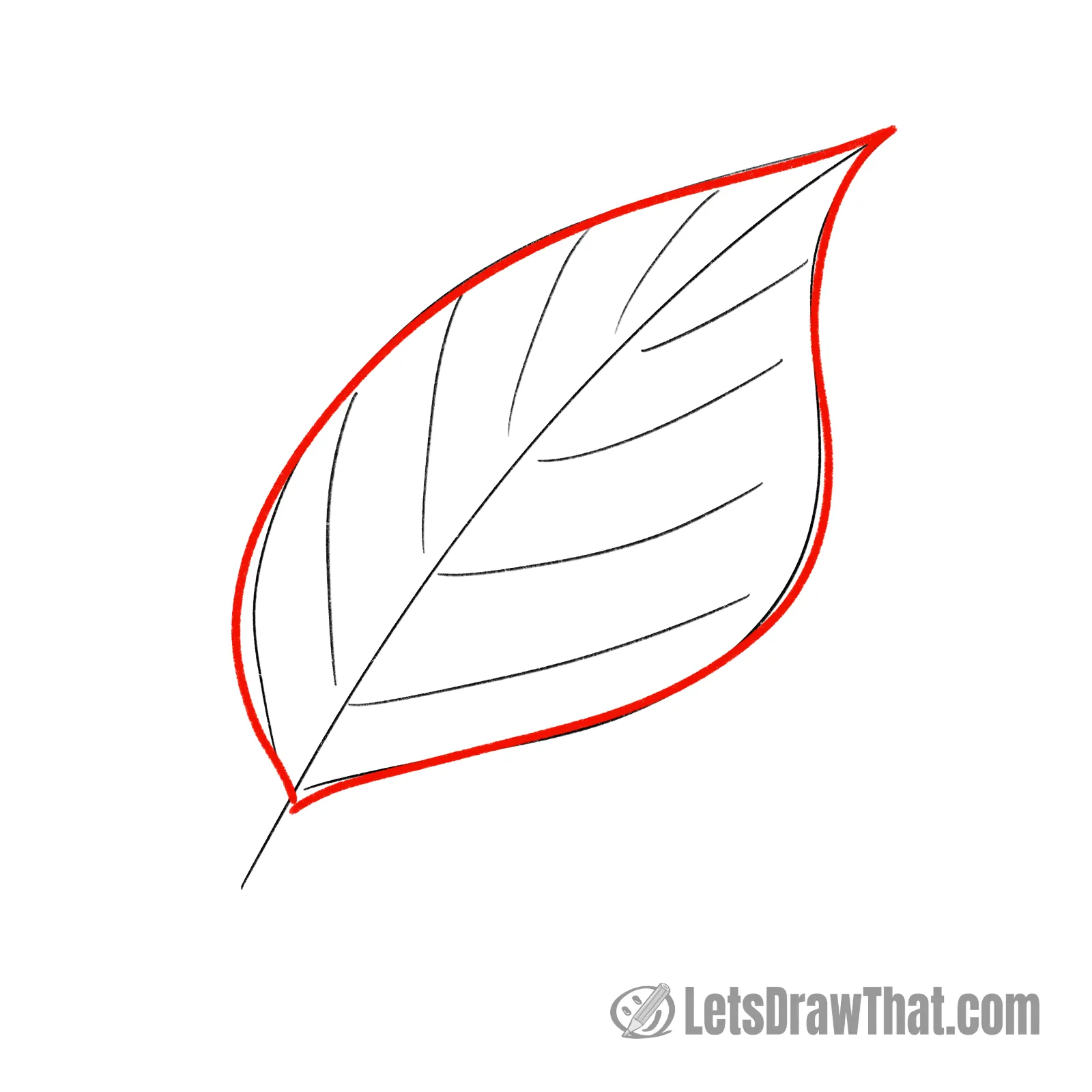 Drawing step: Draw the simple leaf outer edge