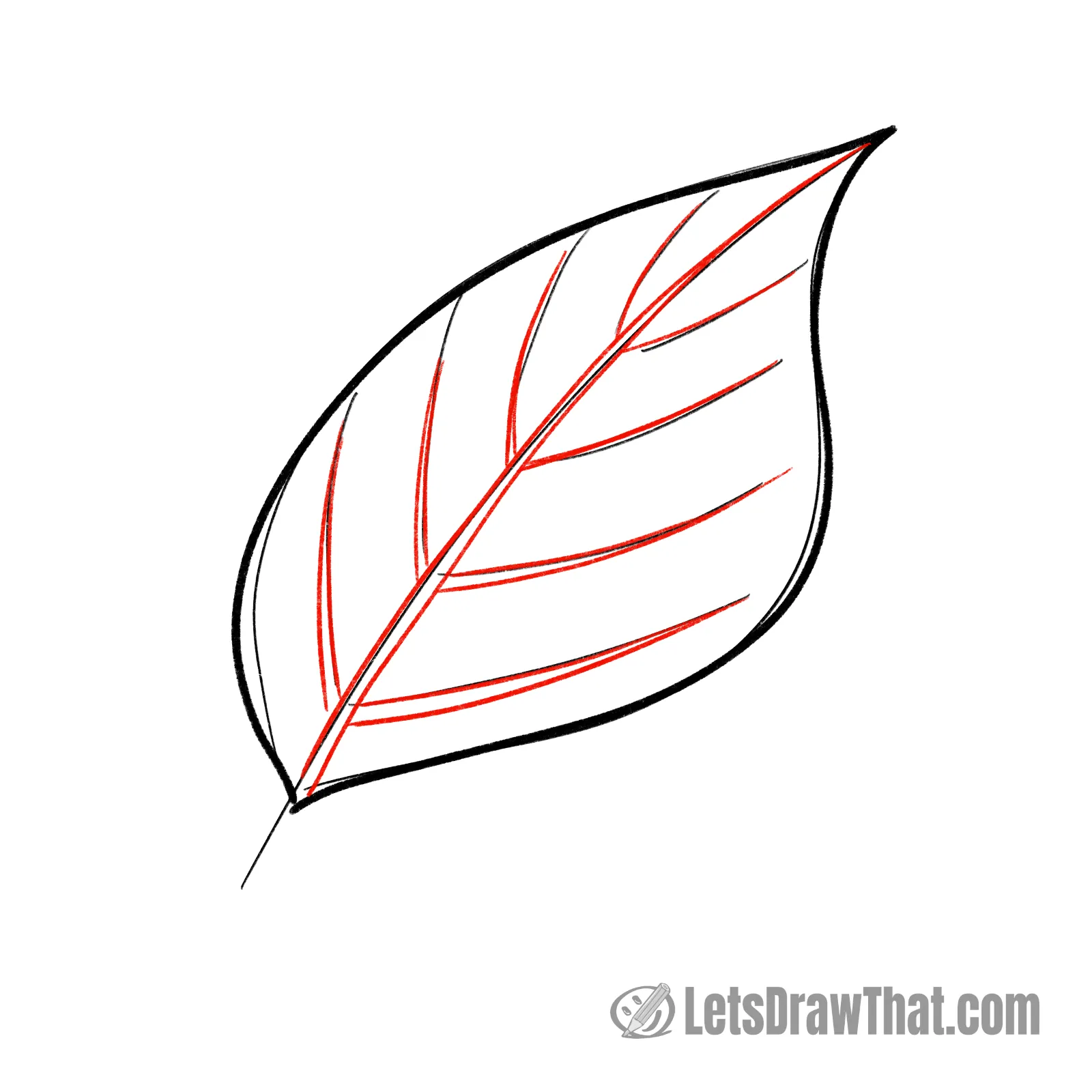 Drawing step: Draw the leaf midrib and veins
