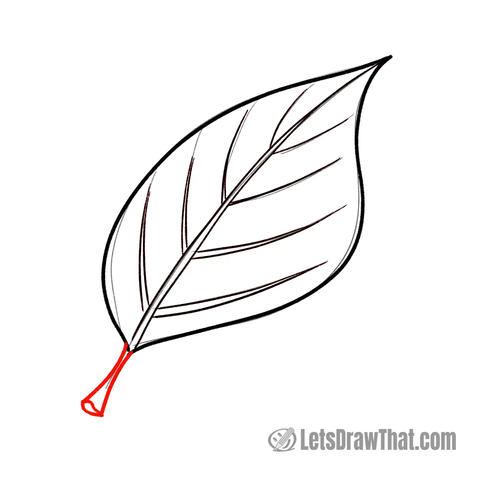 Drawing step: Draw the leaf stalk