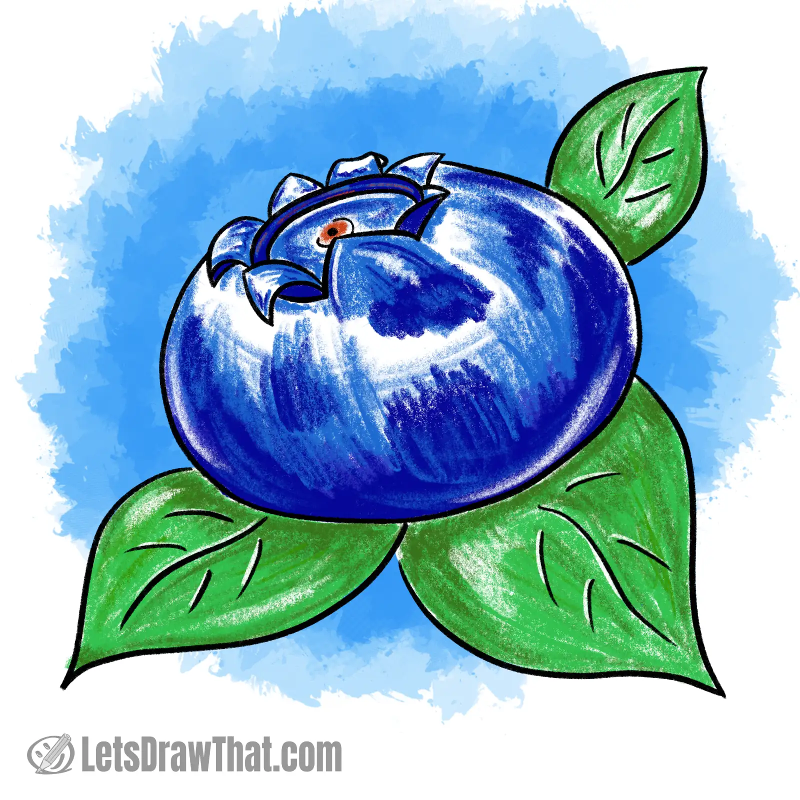 Blueberry drawing coloured-in