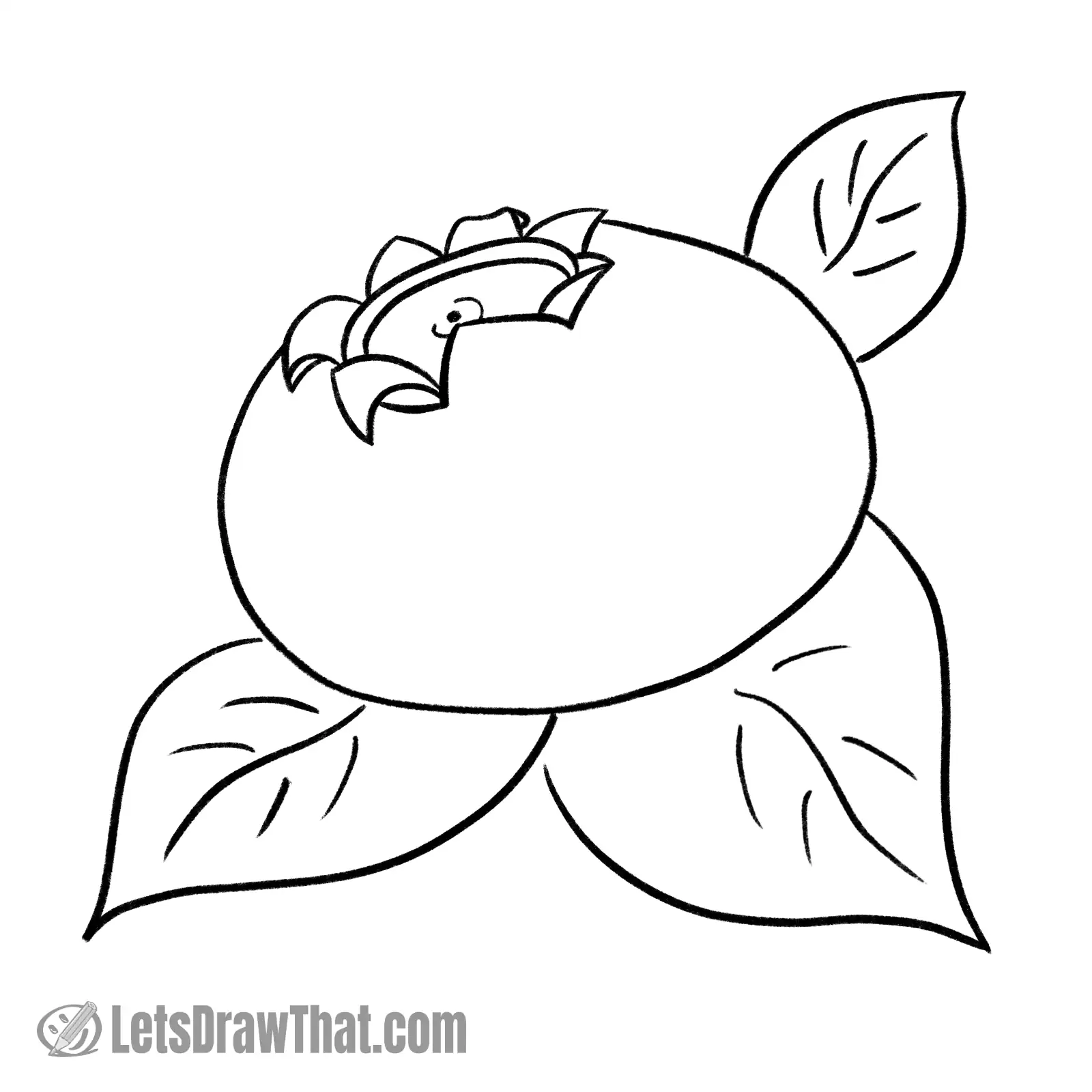 Finished outline blueberry drawing