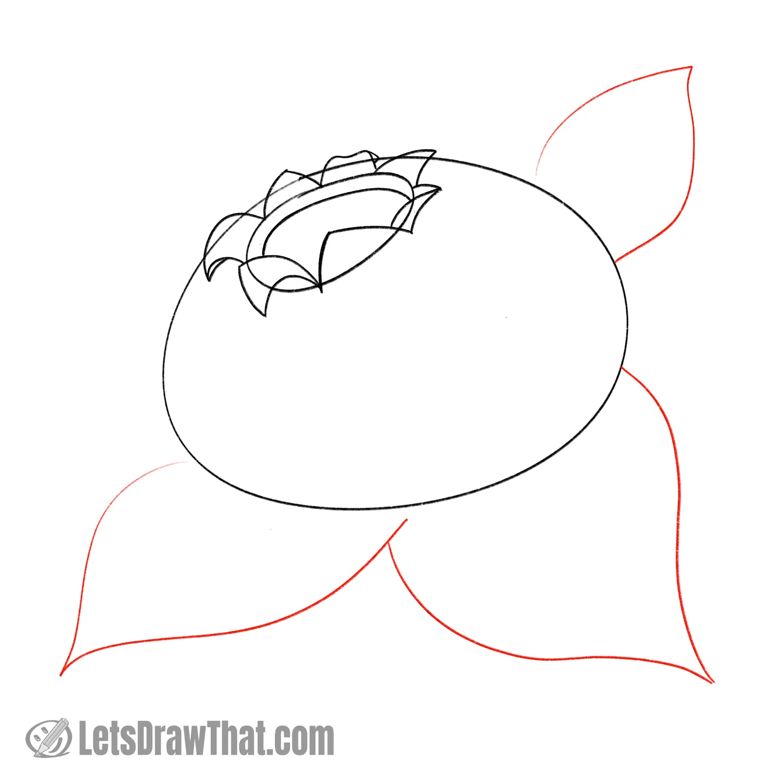 Drawing step: Sketch three blueberry leaves