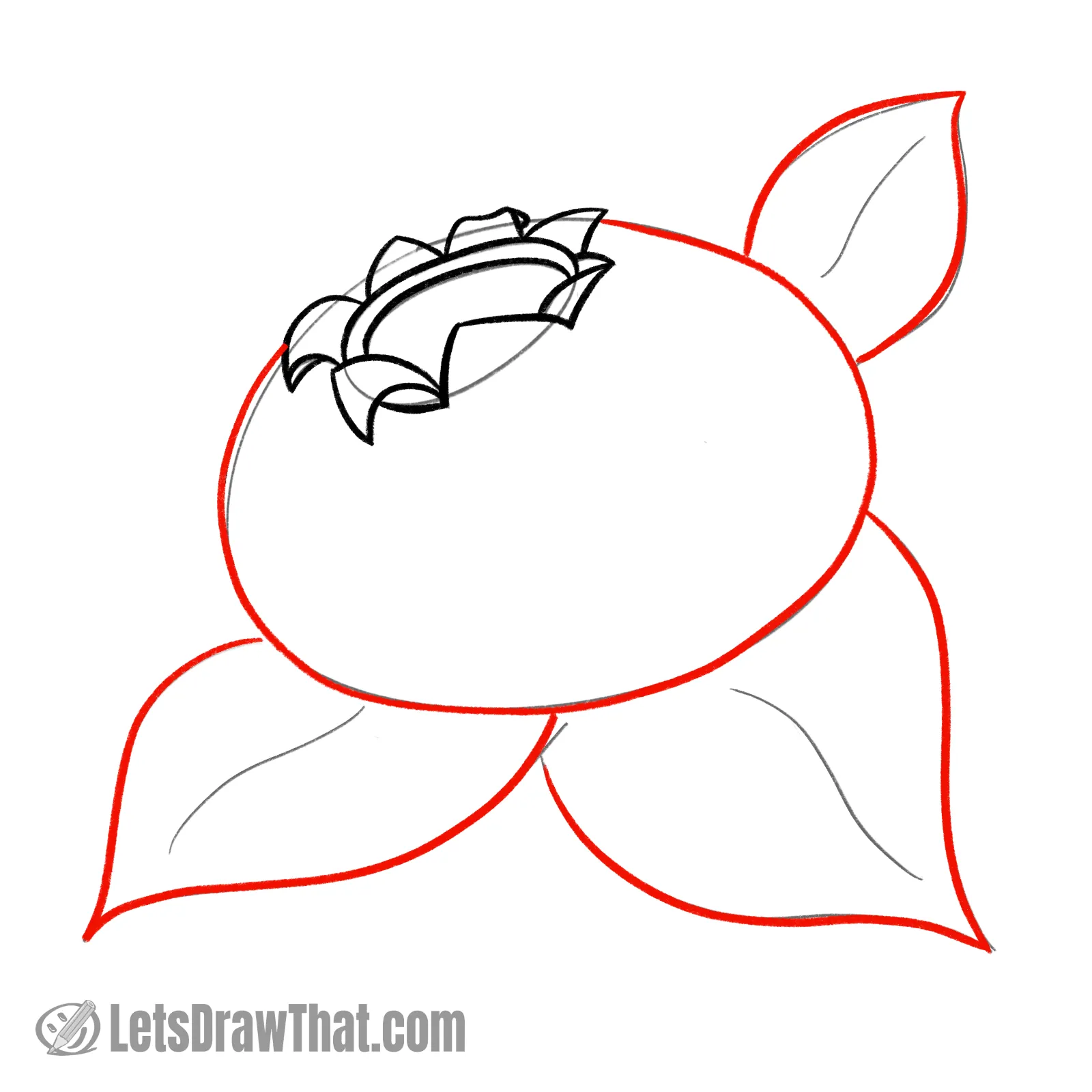 Drawing step: Draw the blueberry outline and leaves
