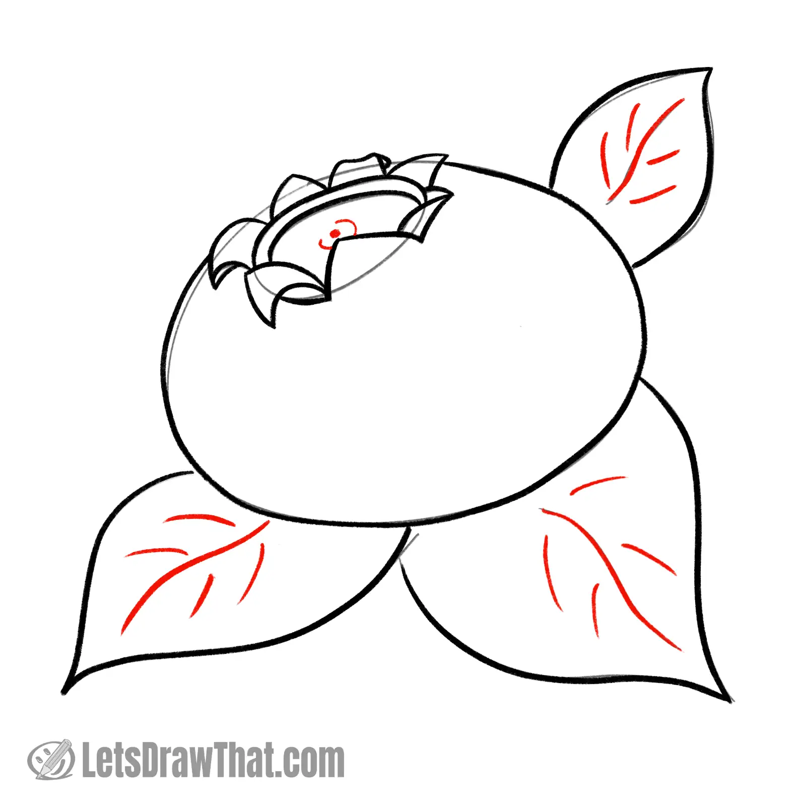Drawing step: Final details: add ribs to the leaves and texture to calyx