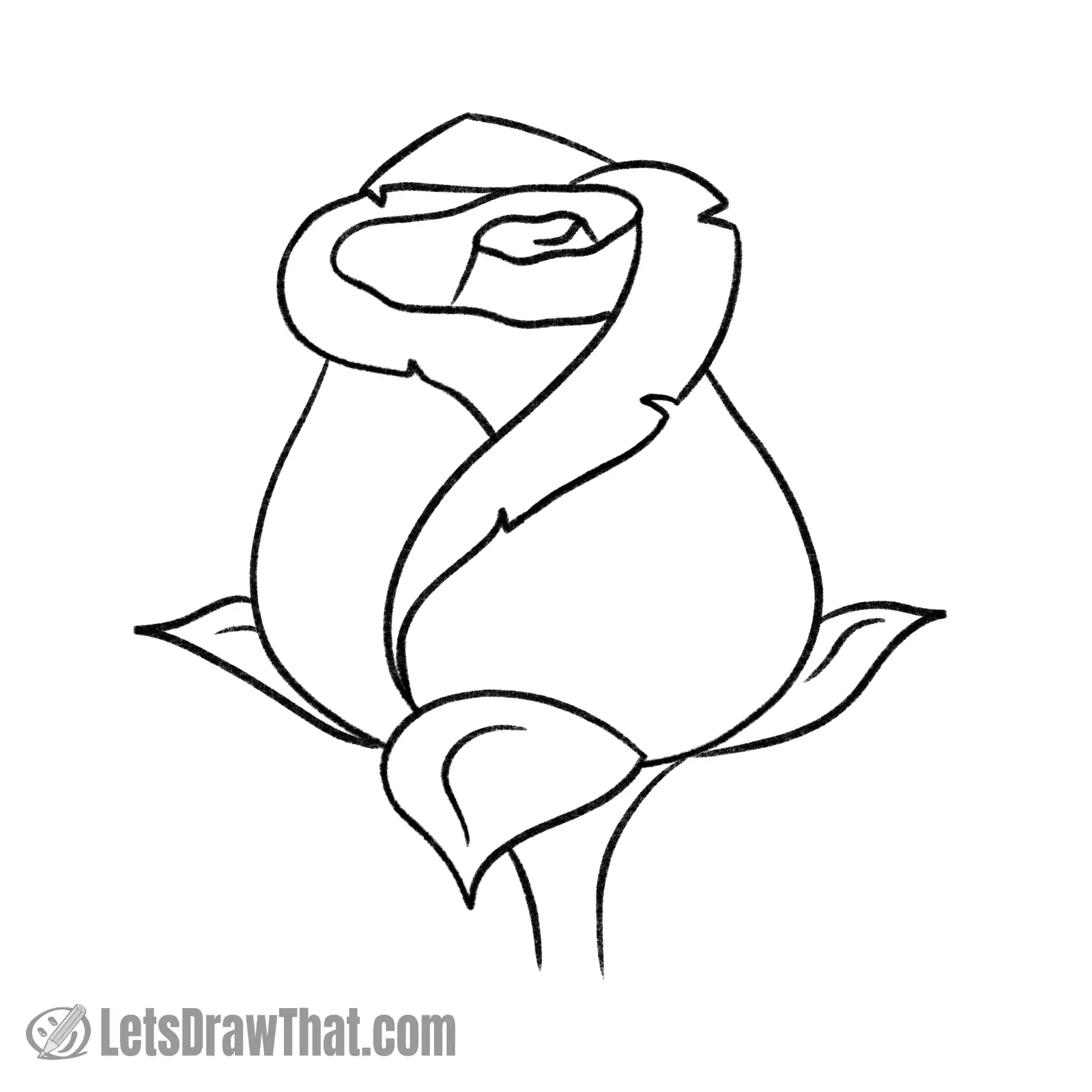 How to draw a rose: finished outline drawing
