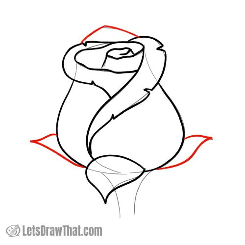 Drawing step: Draw the rest of the rose flower