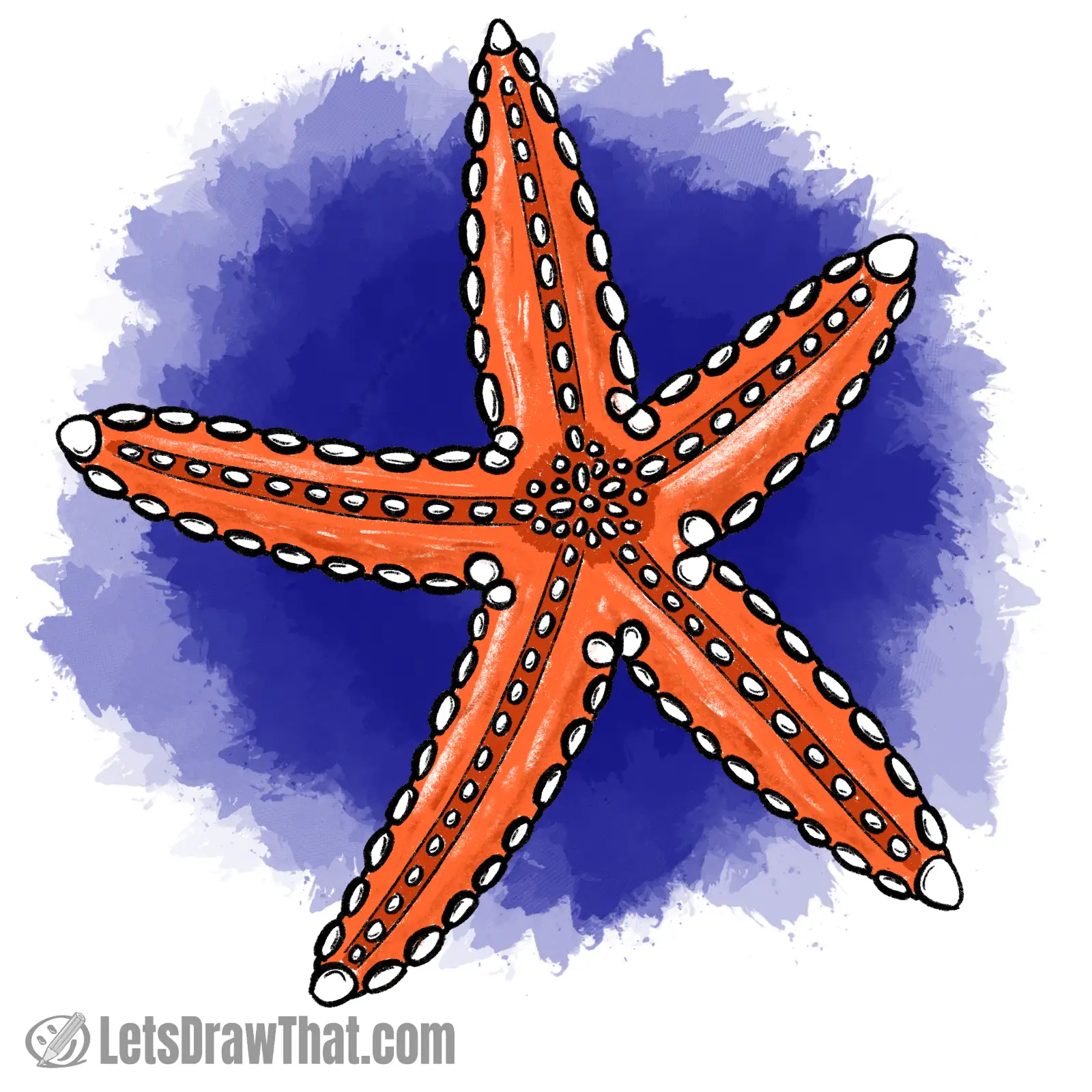 Starfish drawing coloured-in