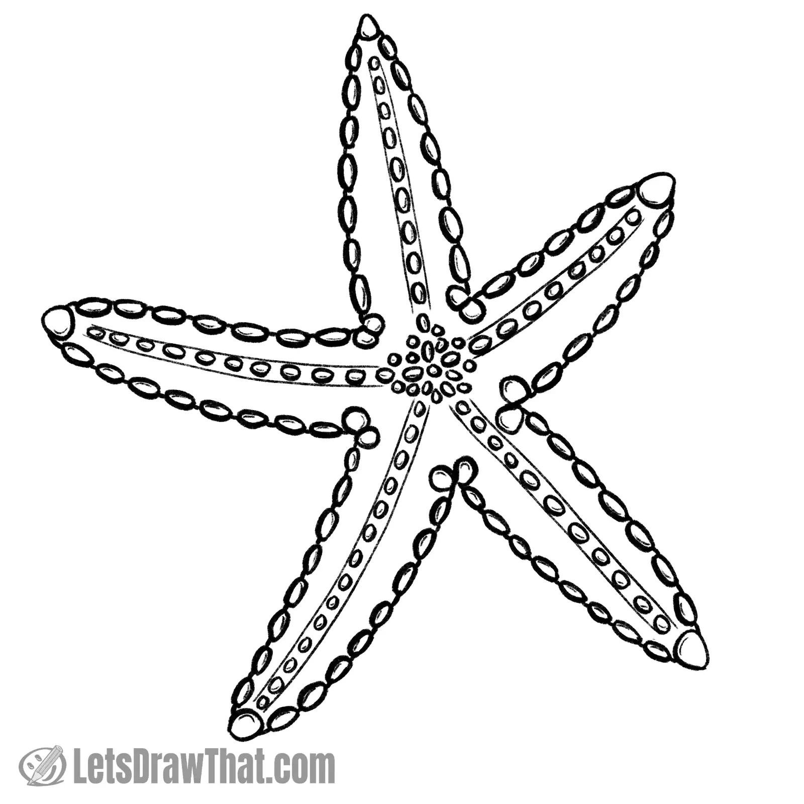 Finished starfish drawing outline