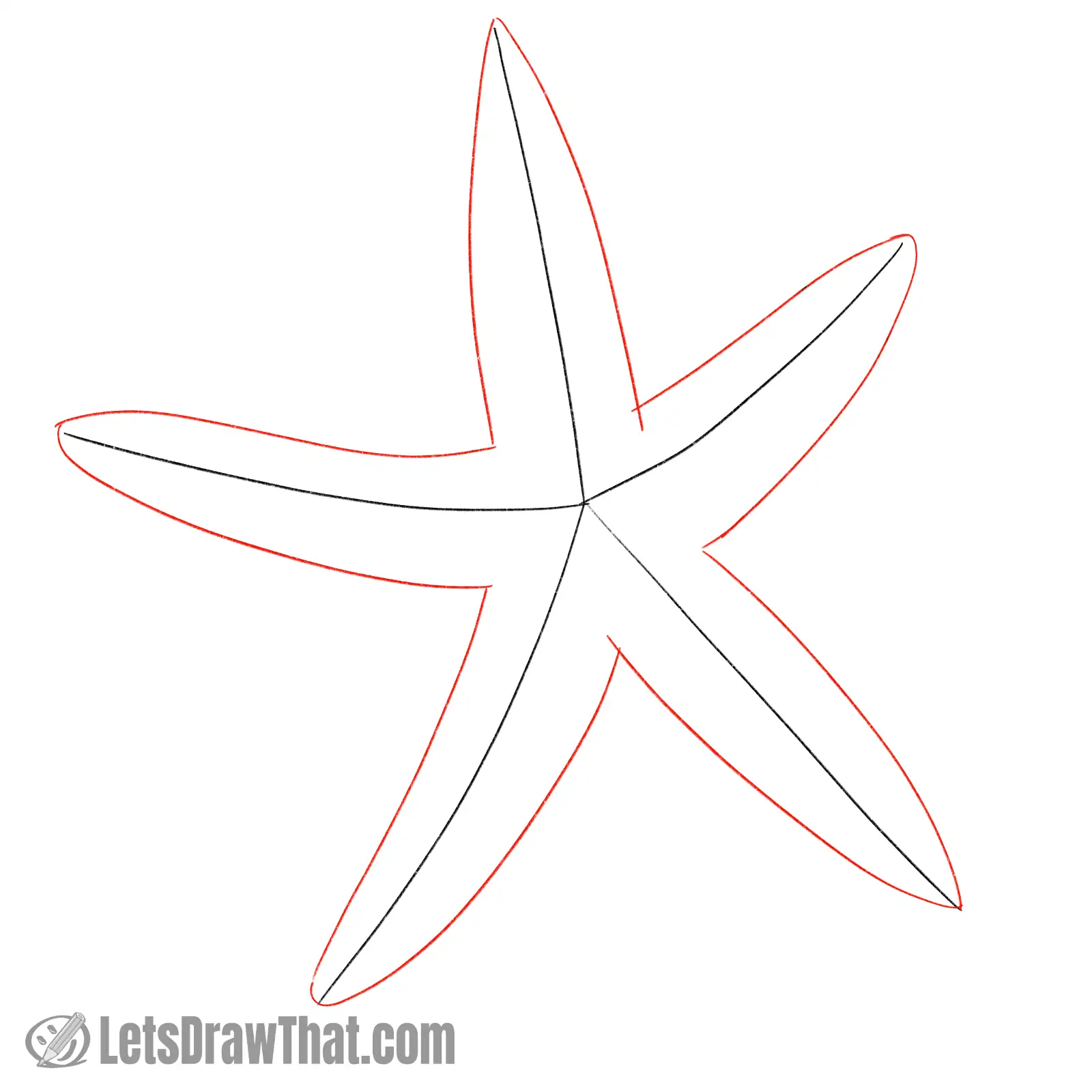 Drawing step: Draw the starfish outline