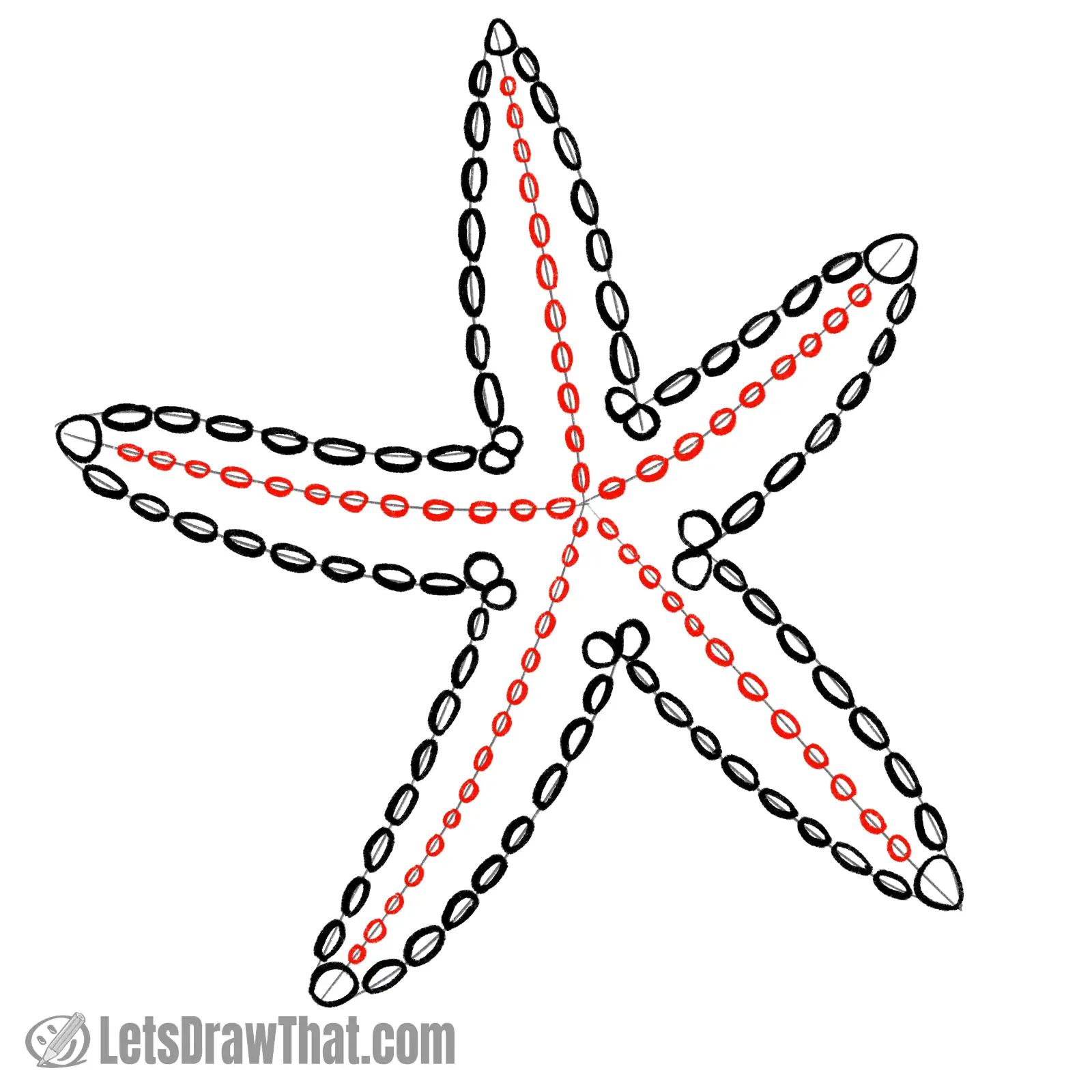 Drawing step: Draw more suction cups on the starfish center lines