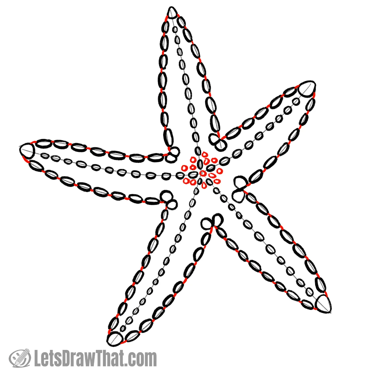 Drawing step: Connect the dots - and add a few more