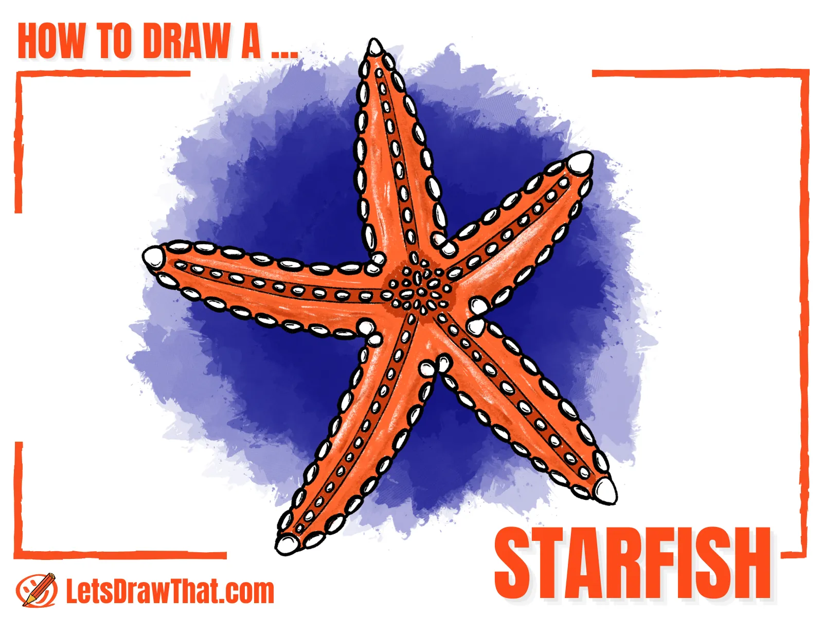 How to Draw a Starfish – Easy Starfish Drawing