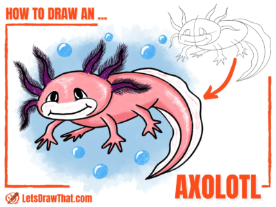 How to Draw an Axolotl – Cute Axolotl Drawing - step-by-step-drawing tutorial featured image