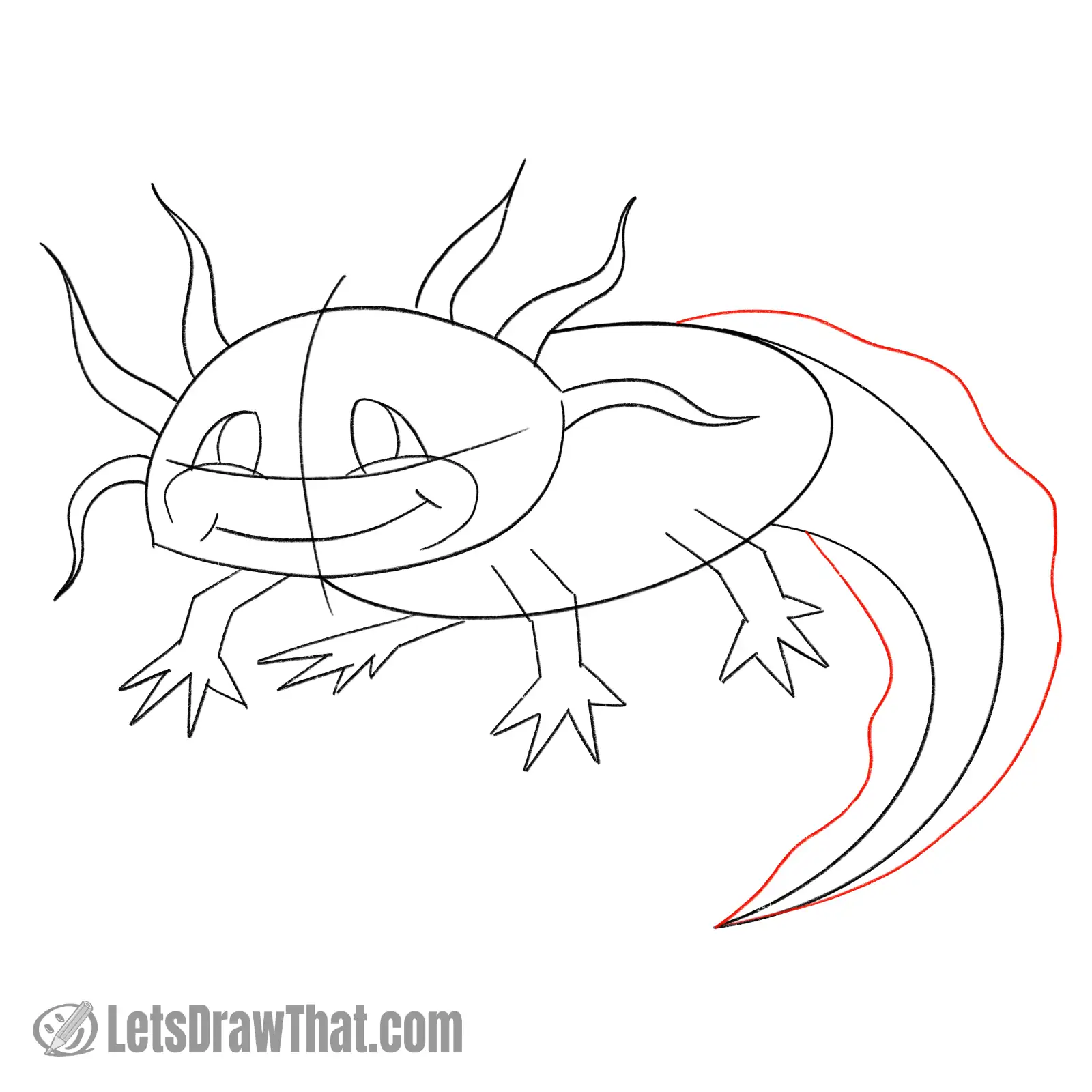 Drawing step: Sketch the dorsal fin