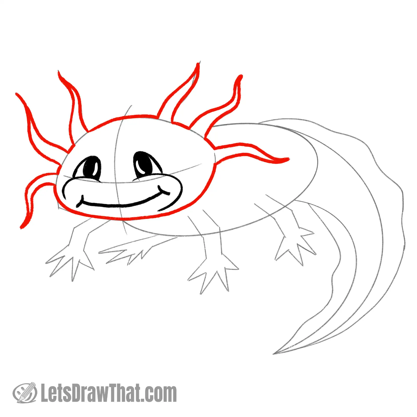 Drawing step: Outline the head and gills