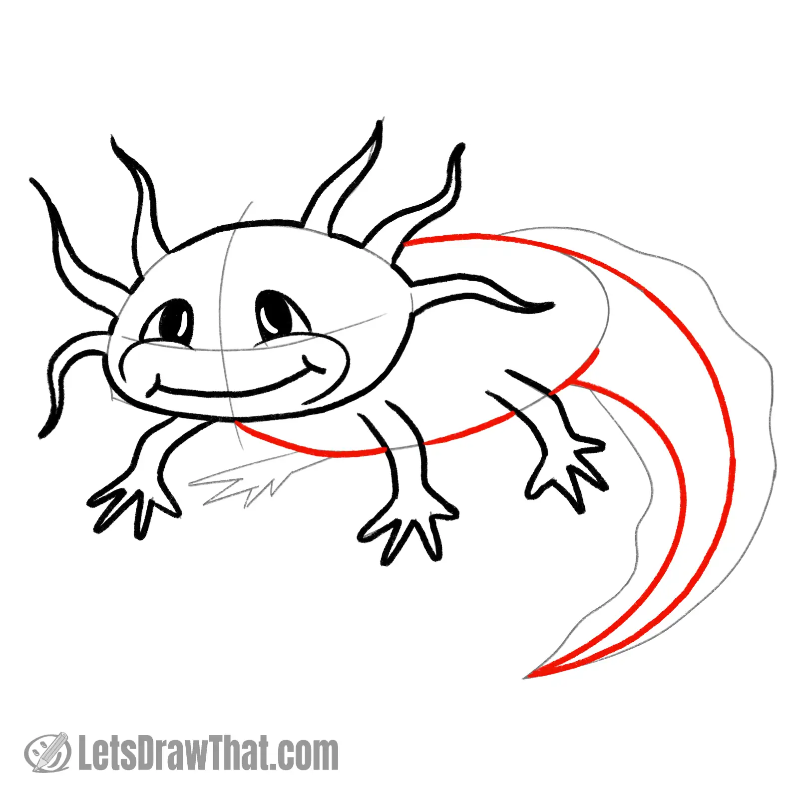Drawing step: Draw the axolot's body and tail