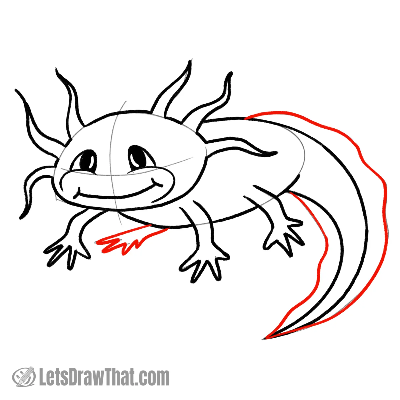 Drawing step: Draw the the dorsal fin
