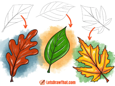 How to draw leaves: 3 easy fall leaf drawings - step-by-step-drawing tutorial featured image
