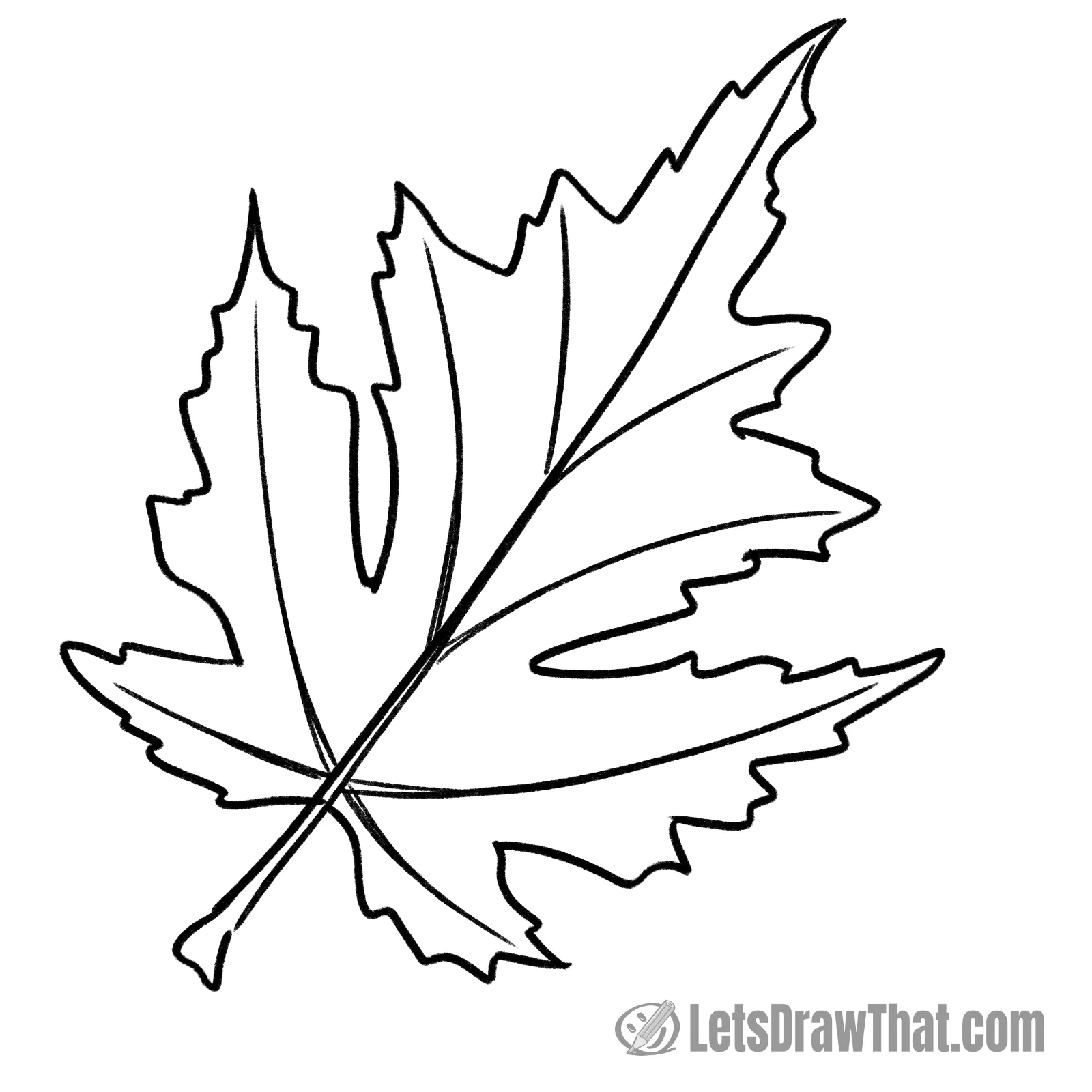 Maple autumn leaf drawing outline