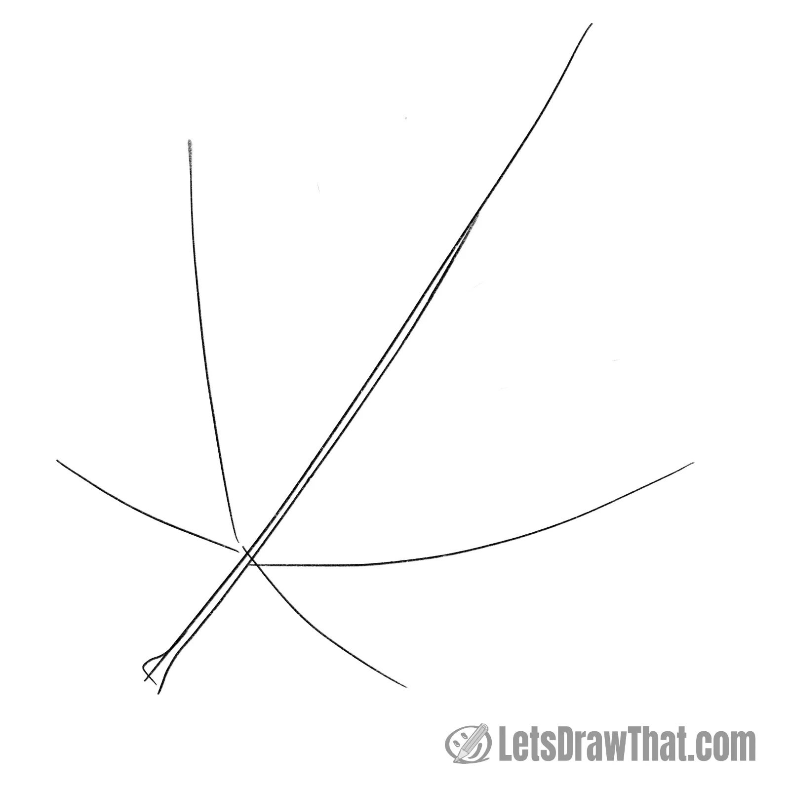 Drawing step: Draw the midrib and main leaf veins