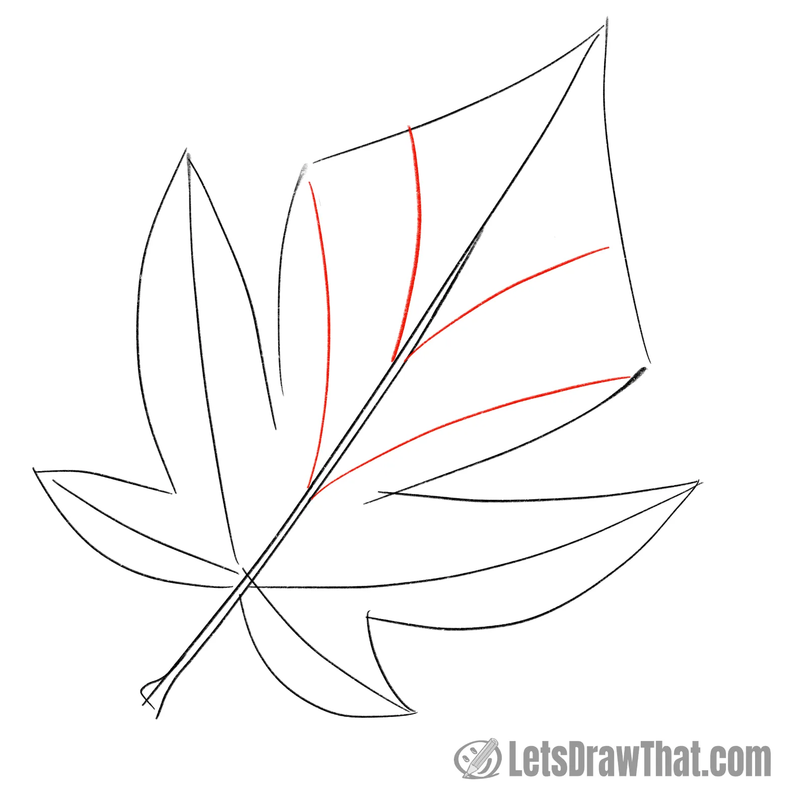 Drawing step: Add two more inner leaf veins