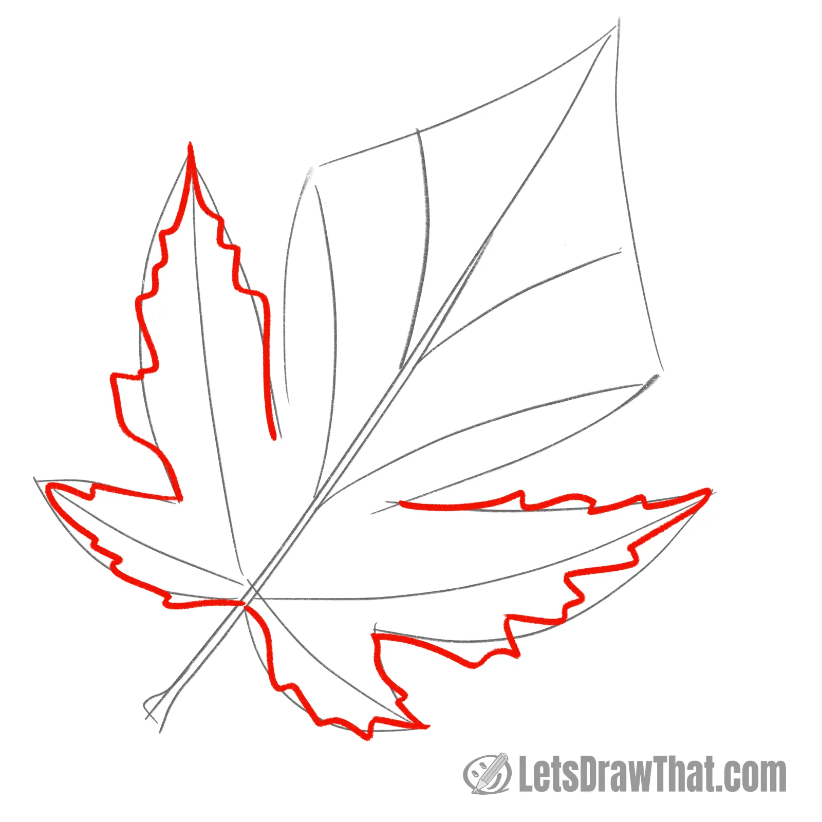 Drawing step: Draw the jagged leaf outline