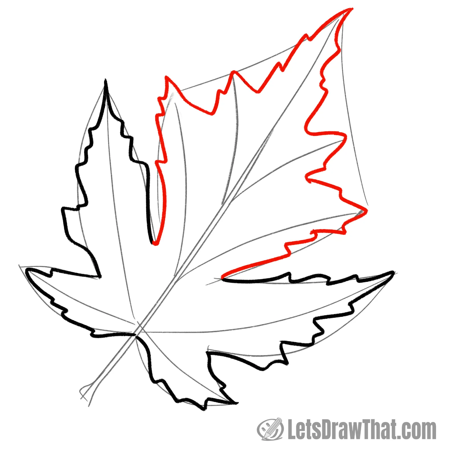Drawing step: Finish the leaf outline