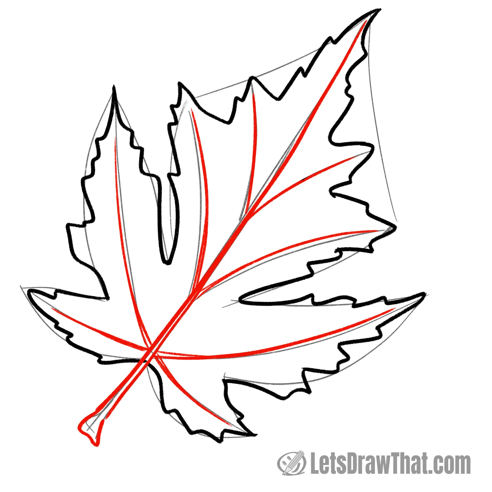 Drawing step: Draw the leaf's midrib and veins