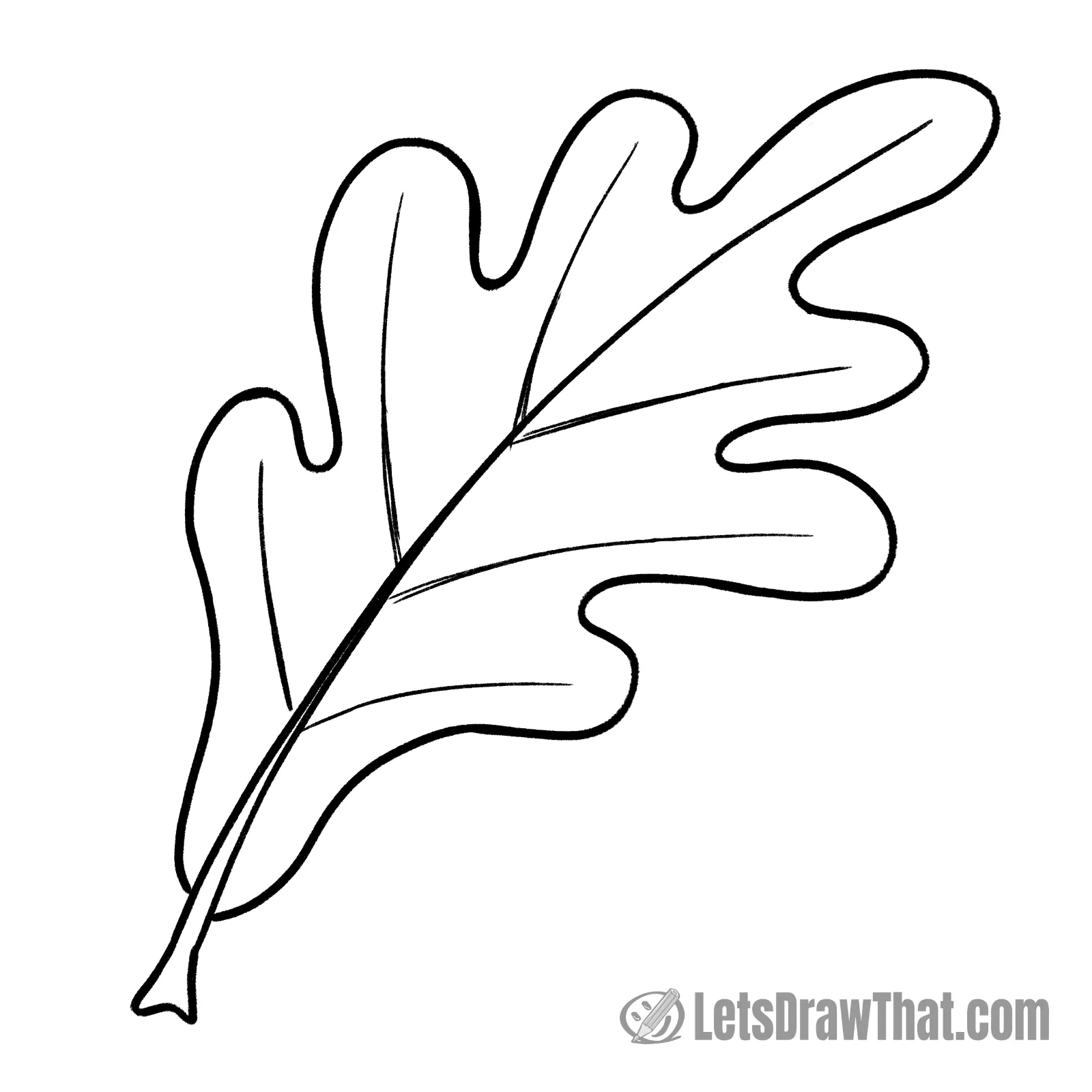 Oak fall leaf drawing outline