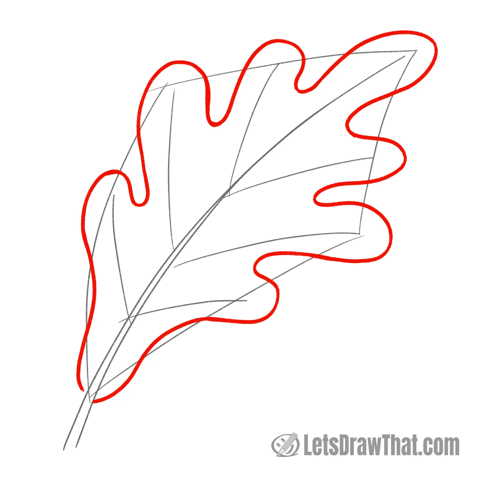 Drawing step: Draw the oak leaf's outer shape
